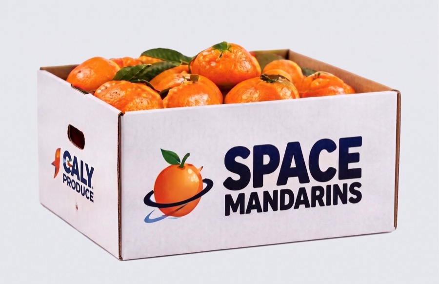 10 KG Carton